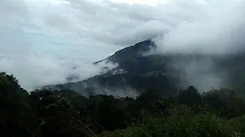 Apartment Neelakurunji Luxury Plantation Hotel Munnar